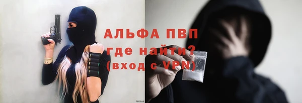 эйфоретик Вяземский