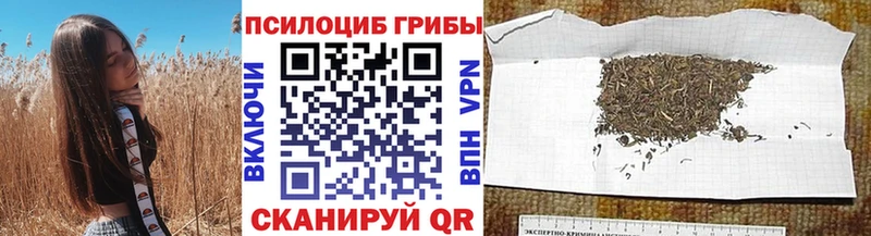 ссылка на мегу ссылки  купить   Ивдель  Галлюциногенные грибы мицелий 