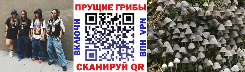 Галлюциногенные грибы ЛСД Ивдель